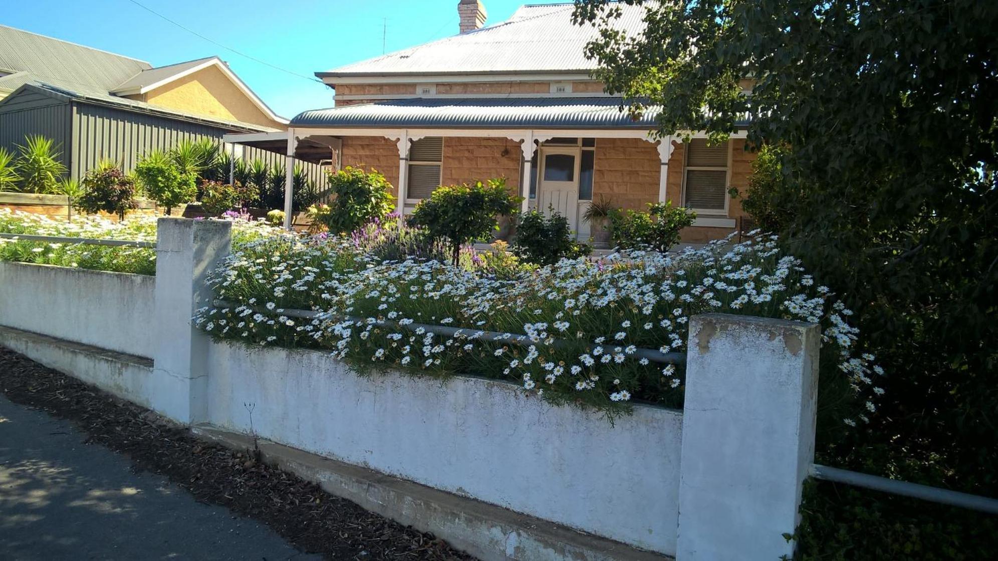 Book Keepers Cottage Waikerie Zewnętrze zdjęcie